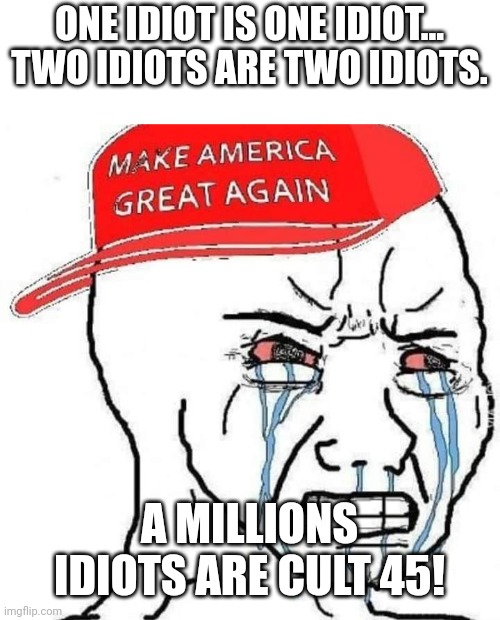Magawhine | ONE IDIOT IS ONE IDIOT... TWO IDIOTS ARE TWO IDIOTS. A MILLIONS IDIOTS ARE CULT 45! | image tagged in maga,donald trump,trump supporter,republican,conservative,democrat | made w/ Imgflip meme maker