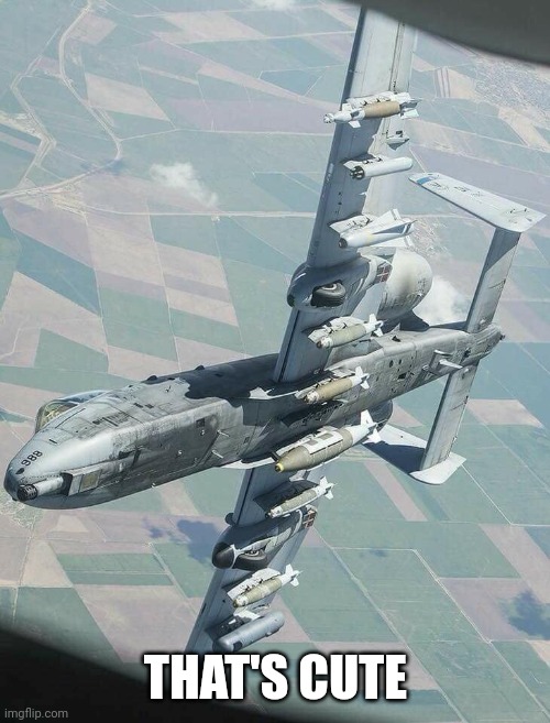 A-10 Warthog | THAT'S CUTE | image tagged in a-10 warthog | made w/ Imgflip meme maker