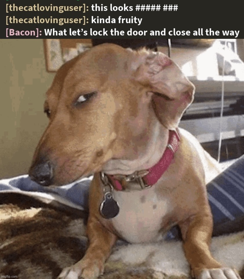 image tagged in suspicious dog | made w/ Imgflip meme maker