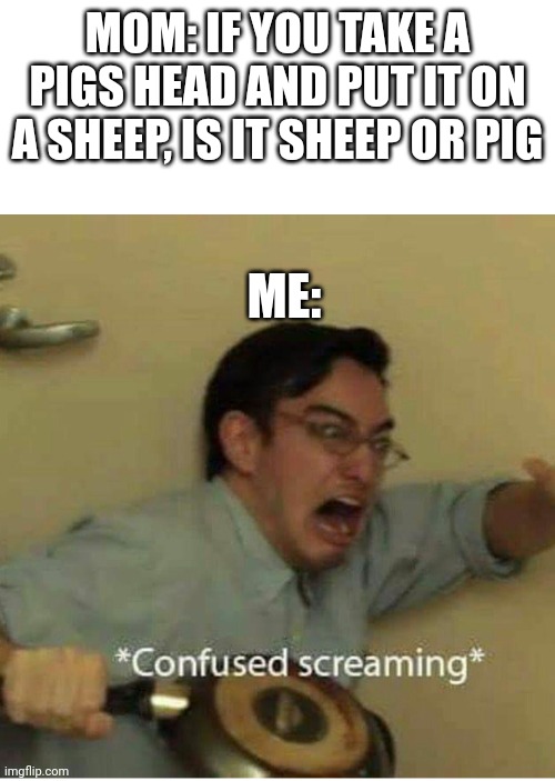 Idk |  MOM: IF YOU TAKE A PIGS HEAD AND PUT IT ON A SHEEP, IS IT SHEEP OR PIG; ME: | image tagged in confused screaming,memes,funny,unfunny | made w/ Imgflip meme maker