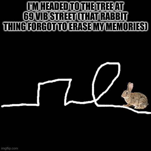 we are headed bros | I'M HEADED TO THE TREE AT 69 VIB STREET (THAT RABBIT THING FORGOT TO ERASE MY MEMORIES) | image tagged in memes,blank transparent square | made w/ Imgflip meme maker