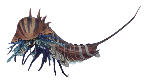 Habelia Blank Meme Template