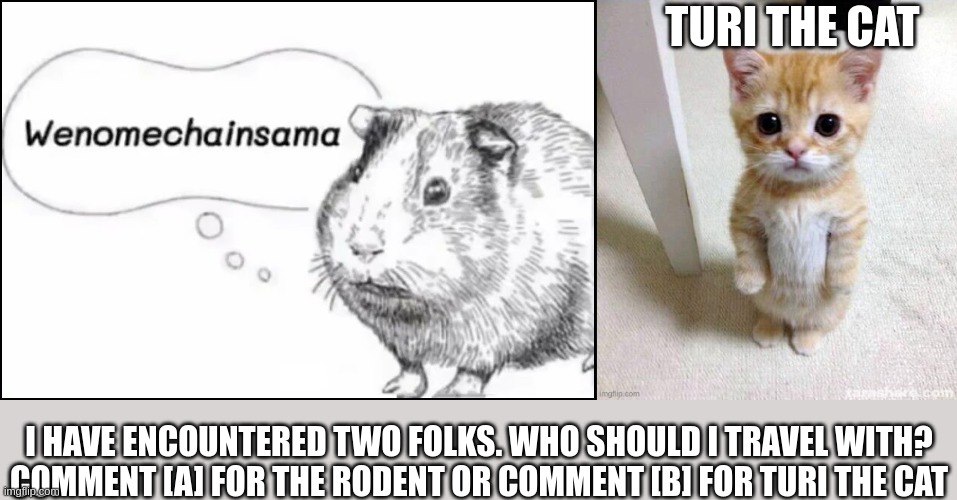 the choice is yours | TURI THE CAT; I HAVE ENCOUNTERED TWO FOLKS. WHO SHOULD I TRAVEL WITH?
COMMENT [A] FOR THE RODENT OR COMMENT [B] FOR TURI THE CAT | image tagged in wenomechainsama,el gato | made w/ Imgflip meme maker