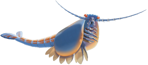 Waptia Blank Meme Template