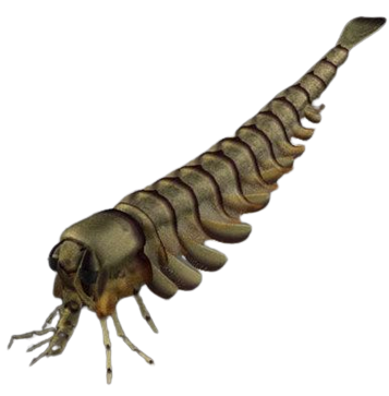 Yohoia Blank Meme Template