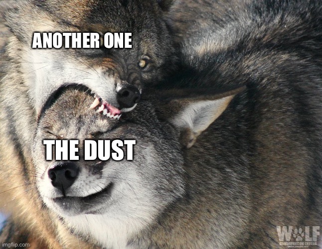 Yee | ANOTHER ONE; THE DUST | image tagged in wolf biting wolf | made w/ Imgflip meme maker