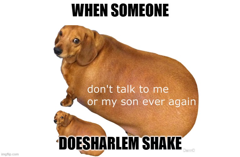 never talk to my son ever again | WHEN SOMEONE; DOESHARLEM SHAKE | image tagged in don't talk to me or my son ever again | made w/ Imgflip meme maker