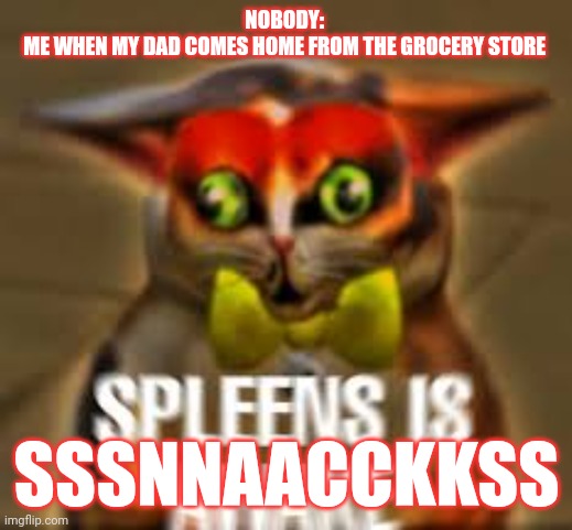 SSNNAACCKKSS | NOBODY: 
ME WHEN MY DAD COMES HOME FROM THE GROCERY STORE; SSSNNAACCKKSS | image tagged in spleens the cat | made w/ Imgflip meme maker