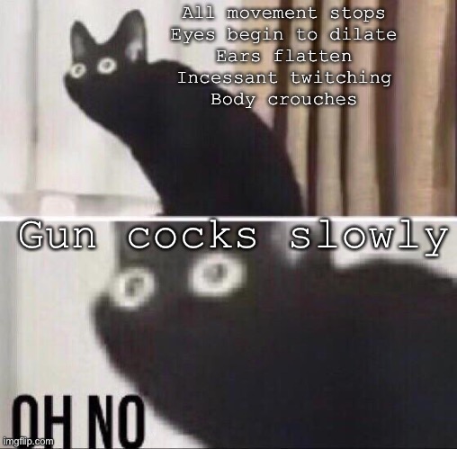 Cat attack (with weapon) | All movement stops
Eyes begin to dilate
Ears flatten
Incessant twitching
Body crouches; Gun cocks slowly | image tagged in oh no cat,gun,attack | made w/ Imgflip meme maker