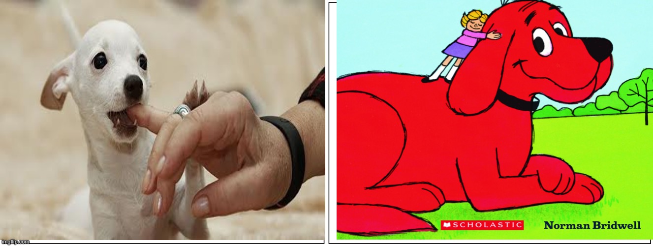 Blank Comic Panel 2x1 | image tagged in memes,blank comic panel 2x1 | made w/ Imgflip meme maker