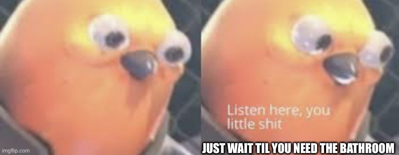 Listen here you little shit bird | JUST WAIT TIL YOU NEED THE BATHROOM | image tagged in listen here you little shit bird | made w/ Imgflip meme maker