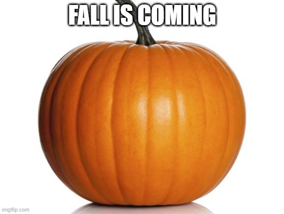 It's coming soon | FALL IS COMING | image tagged in pumpkin | made w/ Imgflip meme maker