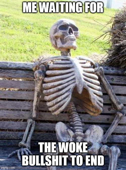 I'm gonna be here for a while | ME WAITING FOR; THE WOKE BULLSHIT TO END | image tagged in memes,waiting skeleton | made w/ Imgflip meme maker