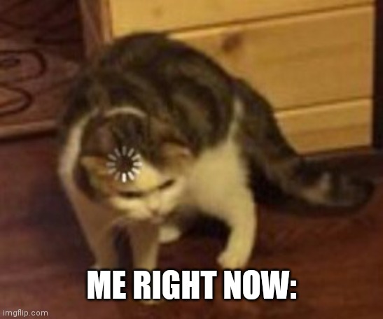 Loading cat | ME RIGHT NOW: | image tagged in loading cat | made w/ Imgflip meme maker