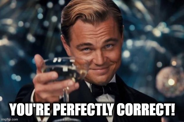 Leonardo Dicaprio Cheers Meme | YOU'RE PERFECTLY CORRECT! | image tagged in memes,leonardo dicaprio cheers | made w/ Imgflip meme maker