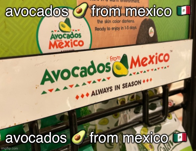 i found it | avocados 🥑 from mexico 🇲🇽; avocados 🥑 from mexico 🇲🇽 | made w/ Imgflip meme maker