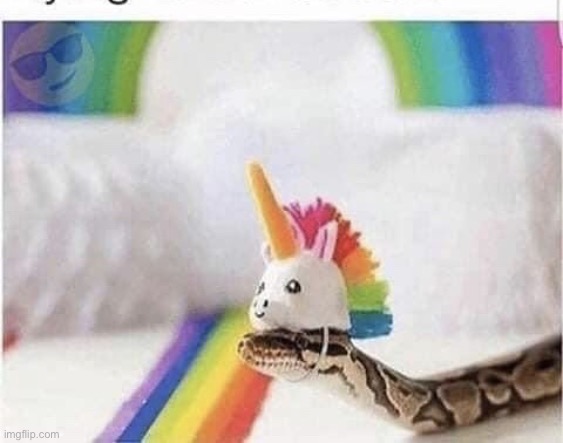 Cute snake | image tagged in cute snake | made w/ Imgflip meme maker