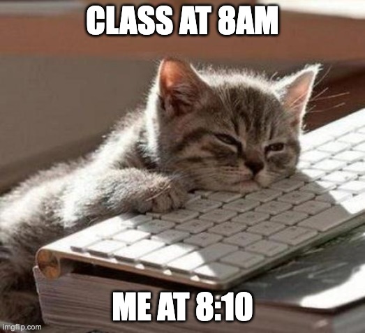 Meme | CLASS AT 8AM; ME AT 8:10 | image tagged in tired cat | made w/ Imgflip meme maker