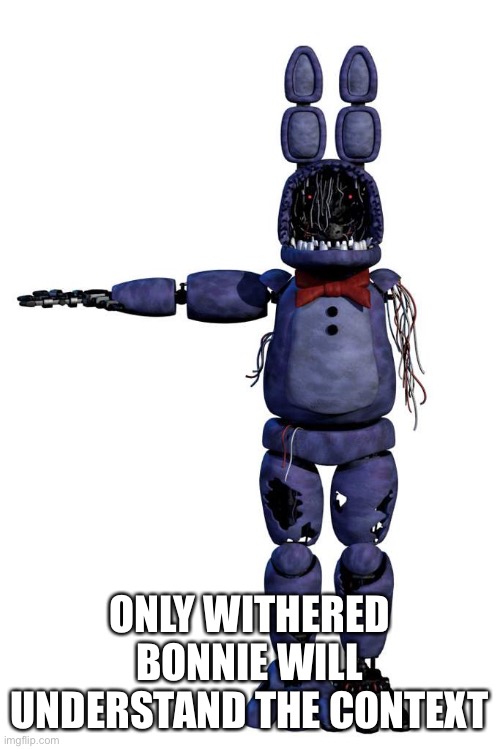 No context added | ONLY WITHERED BONNIE WILL UNDERSTAND THE CONTEXT | image tagged in no context needed | made w/ Imgflip meme maker