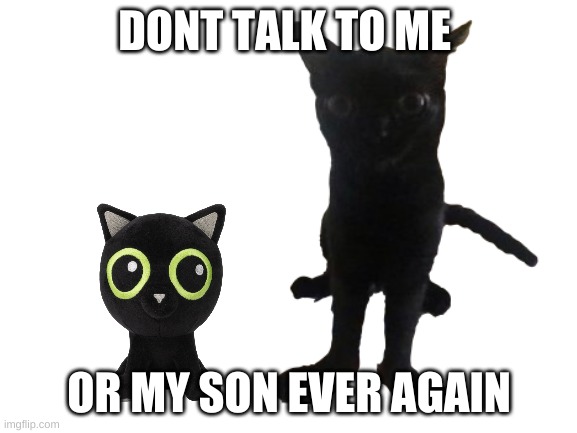scrunkly mad | DONT TALK TO ME; OR MY SON EVER AGAIN | image tagged in memes,cats,plush | made w/ Imgflip meme maker
