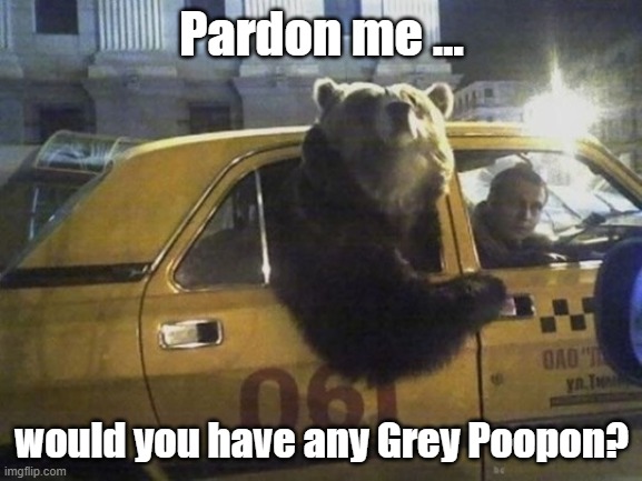 Driver - to the woods, and step on it! |  Pardon me …; would you have any Grey Poopon? | image tagged in bears,taxi,uber,woods,poop,bad puns | made w/ Imgflip meme maker