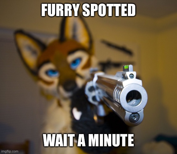 Furry with gun | FURRY SPOTTED WAIT A MINUTE | image tagged in furry with gun | made w/ Imgflip meme maker