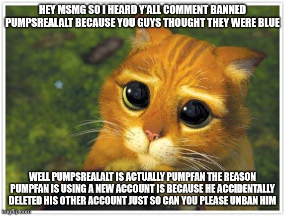 Shrek Cat Meme | HEY MSMG SO I HEARD Y'ALL COMMENT BANNED PUMPSREALALT BECAUSE YOU GUYS THOUGHT THEY WERE BLUE; WELL PUMPSREALALT IS ACTUALLY PUMPFAN THE REASON PUMPFAN IS USING A NEW ACCOUNT IS BECAUSE HE ACCIDENTALLY DELETED HIS OTHER ACCOUNT JUST SO CAN YOU PLEASE UNBAN HIM | image tagged in memes,shrek cat | made w/ Imgflip meme maker