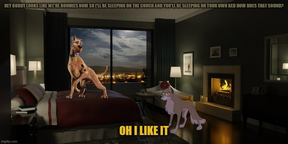 scoob's new room mate | HEY BUDDY LOOKS LIKE WE'RE ROOMIES NOW SO I'LL BE SLEEPING ON THE COUCH AND YOU'LL BE SLEEPING ON YOUR OWN BED HOW DOES THAT SOUND? OH I LIKE IT | image tagged in night bedroom,dogs,wolves,universal studios,scooby doo | made w/ Imgflip meme maker