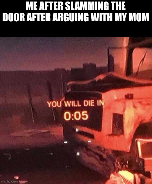 You will die in 0:05 | ME AFTER SLAMMING THE DOOR AFTER ARGUING WITH MY MOM | image tagged in you will die in 0 05 | made w/ Imgflip meme maker