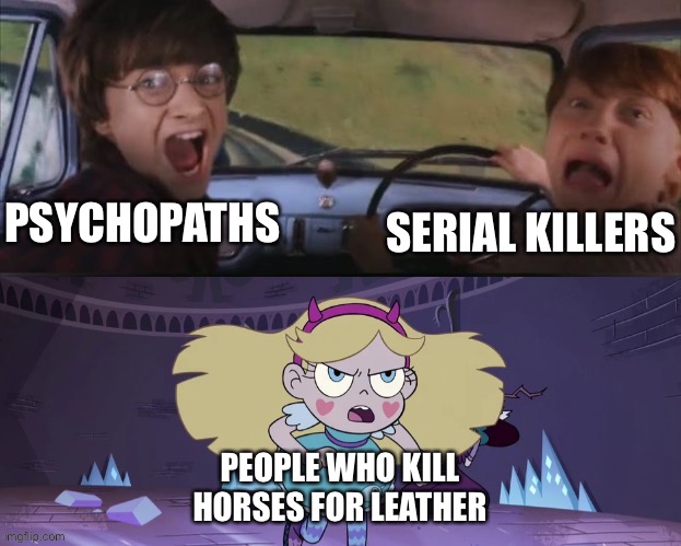 Star Butterfly Chasing Harry and Ron Weasly | PSYCHOPATHS; SERIAL KILLERS; PEOPLE WHO KILL HORSES FOR LEATHER | image tagged in star butterfly chasing harry and ron weasly,memes,minecraft,gaming,minecraft memes,pc gaming | made w/ Imgflip meme maker