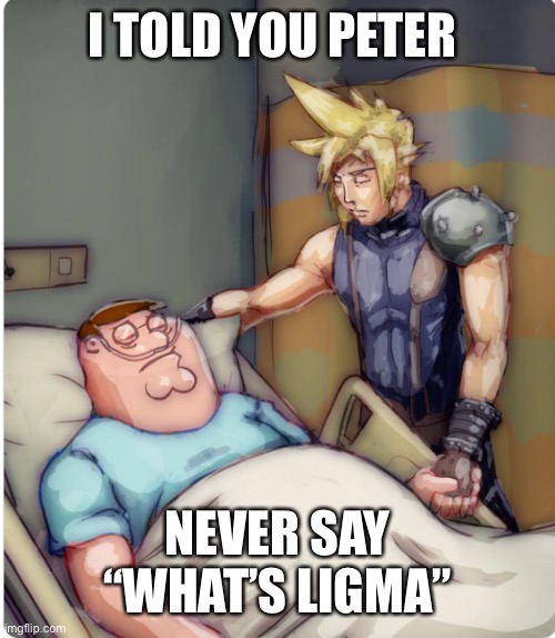 So true | I TOLD YOU PETER; NEVER SAY “WHAT’S LIGMA” | image tagged in peter i told you | made w/ Imgflip meme maker