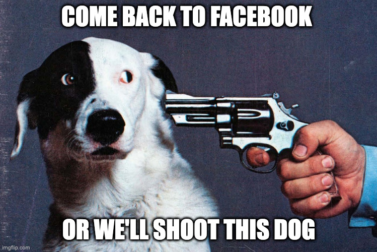 come back to facebook or else | COME BACK TO FACEBOOK; OR WE'LL SHOOT THIS DOG | image tagged in shoot this dog,facebook | made w/ Imgflip meme maker