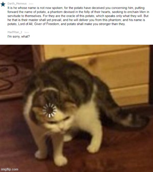 I have no clue ? | image tagged in loading cat,memechat,wtf | made w/ Imgflip meme maker