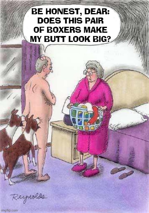 Cartoonist Reynolds reaches into a new dimension in humor | BE HONEST, DEAR:
DOES THIS PAIR
OF BOXERS MAKE
MY BUTT LOOK BIG? | image tagged in vince vance,weight loss,boxer shorts,old people,memes,dogs | made w/ Imgflip meme maker