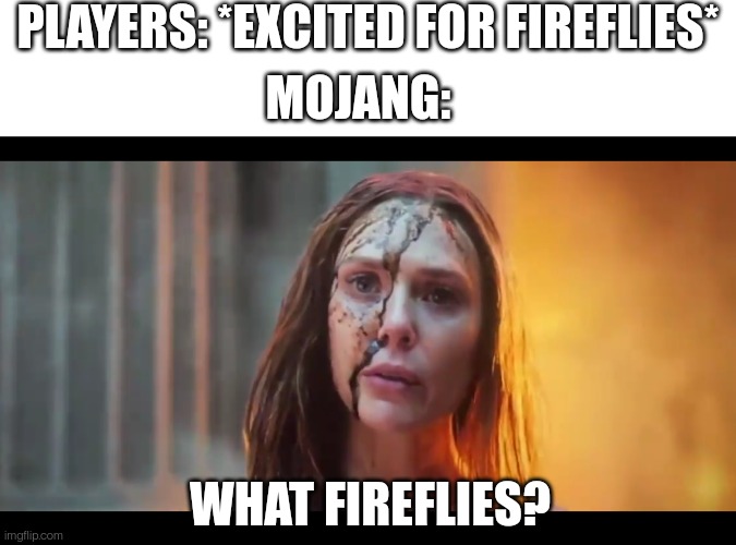 PLAYERS: *EXCITED FOR FIREFLIES*; MOJANG:; WHAT FIREFLIES? | image tagged in blank white template,scarlet witch what mouth | made w/ Imgflip meme maker