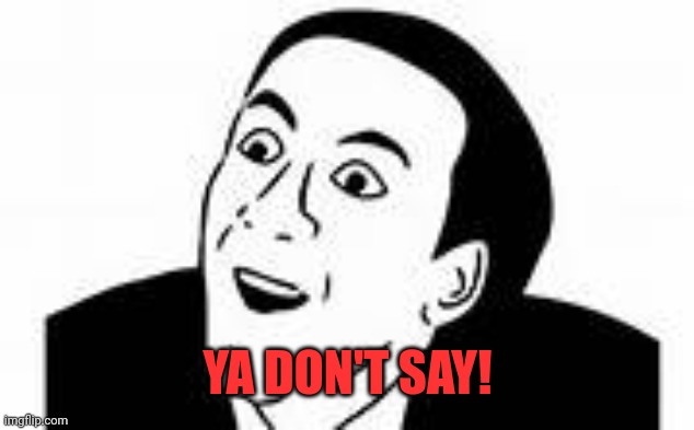 ya dont say | YA DON'T SAY! | image tagged in ya dont say | made w/ Imgflip meme maker