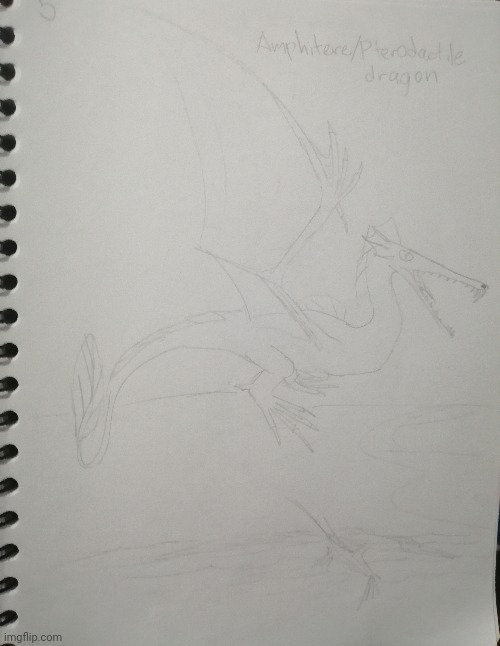 Amphipteres | image tagged in drawing,fantasy,creatures,dragon | made w/ Imgflip meme maker
