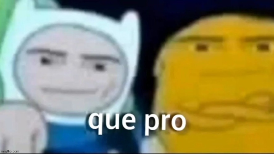 que pro | image tagged in que pro | made w/ Imgflip meme maker