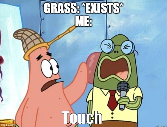 I like touching grass | GRASS: *EXISTS*
ME: | image tagged in patrick touch | made w/ Imgflip meme maker