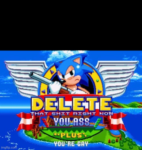 Sonic is mad meme | image tagged in sonic is mad meme | made w/ Imgflip meme maker