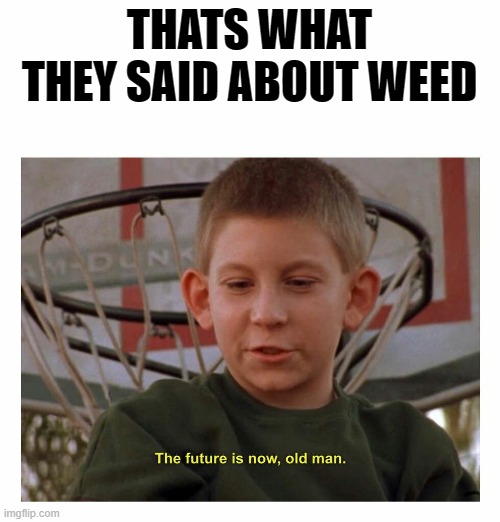 THATS WHAT THEY SAID ABOUT WEED | image tagged in the future is now old man | made w/ Imgflip meme maker