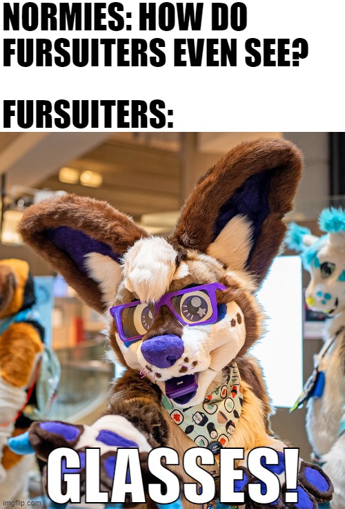 I mean... It should be obvious. xD (Fursuiter: SleepyChi) | NORMIES: HOW DO FURSUITERS EVEN SEE? FURSUITERS:; GLASSES! | image tagged in memes,funny,furry,fursuit,glasses | made w/ Imgflip meme maker