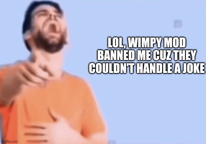 Pointing and laughing | LOL, WIMPY MOD BANNED ME CUZ THEY COULDN'T HANDLE A JOKE | image tagged in pointing and laughing | made w/ Imgflip meme maker