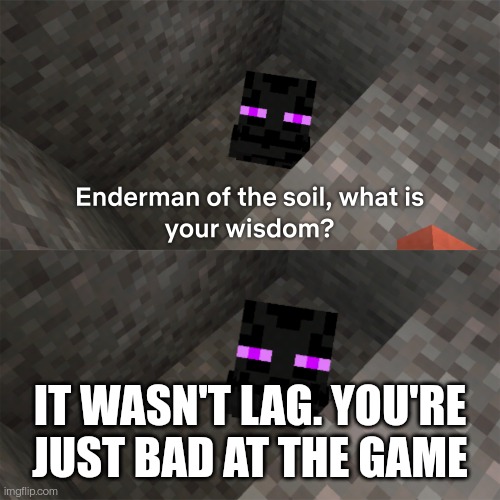 Enderman of the soil | IT WASN'T LAG. YOU'RE JUST BAD AT THE GAME | image tagged in enderman of the soil | made w/ Imgflip meme maker