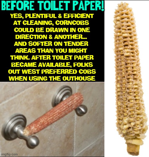 Wiping the Old Way | BEFORE TOILET PAPER! YES, PLENTIFUL & EFFICIENT
AT CLEANING, CORNCOBS 
COULD BE DRAWN IN ONE
DIRECTION & ANOTHER... 
AND SOFTER ON TENDER 
AREAS THAN YOU MIGHT 
THINK. AFTER TOILET PAPER
BECAME AVAILABLE, FOLKS
OUT WEST PREFERRED COBS
WHEN USING THE OUTHOUSE | image tagged in vince vance,toilet paper,memes,corn,going to the bathroom,toilet humor | made w/ Imgflip meme maker