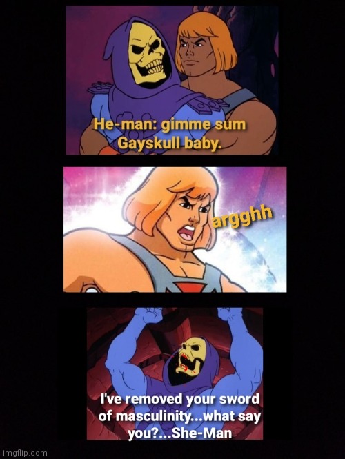 Gayskull | image tagged in heman | made w/ Imgflip meme maker