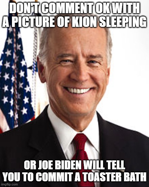 Joe Biden Meme | DON'T COMMENT OK WITH A PICTURE OF KION SLEEPING; OR JOE BIDEN WILL TELL YOU TO COMMIT A TOASTER BATH | image tagged in memes,joe biden | made w/ Imgflip meme maker