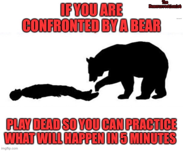 “Play” Dead | image tagged in cosplay,bear | made w/ Imgflip meme maker
