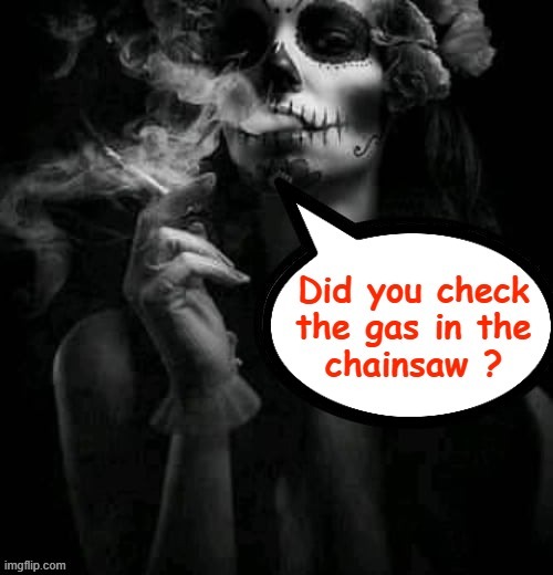 Maintenance woman | image tagged in chainsaw | made w/ Imgflip meme maker