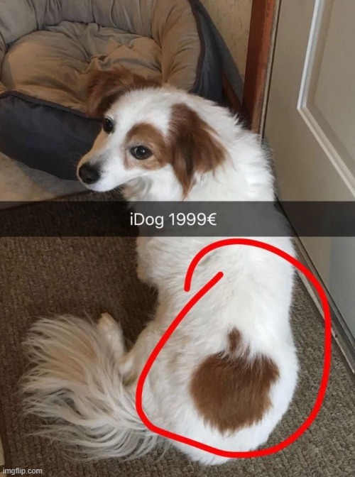 image tagged in puns | made w/ Imgflip meme maker